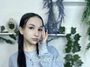Elvinagrindle
