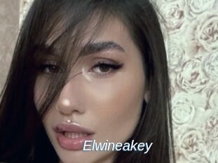 Elwineakey