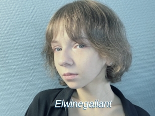 Elwinegallant
