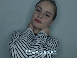 Elwinegambee