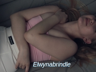 Elwynabrindle