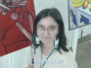 Elwynabuss