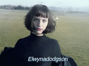 Elwynadodgson