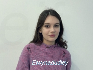 Elwynadudley