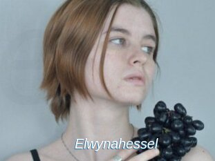 Elwynahessel