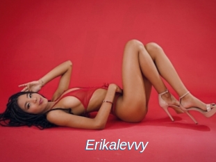 Erikalevvy