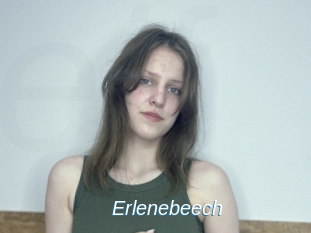 Erlenebeech