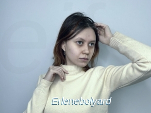 Erlenebolyard