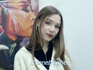 Erlenebracher