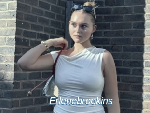 Erlenebrookins