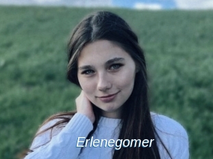 Erlenegomer