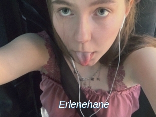 Erlenehane