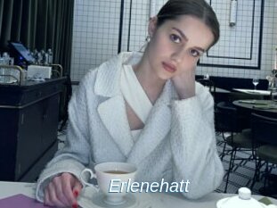 Erlenehatt