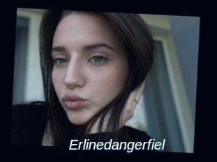Erlinedangerfiel