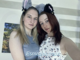 Esmaandmatia