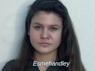 Esmehandley