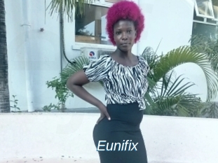 Eunifix