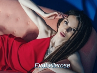 Evabellerose