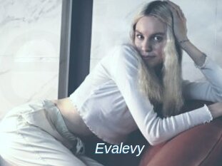 Evalevy
