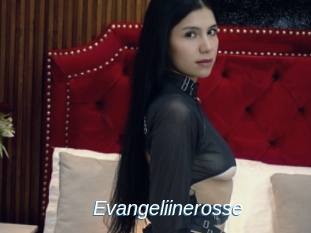 Evangeliinerosse