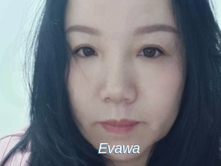evawa Ejaculations Féminines