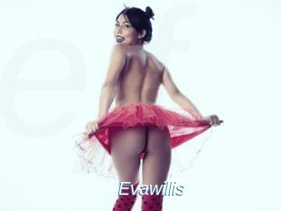 Evawillis