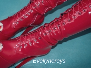 Evellynereys