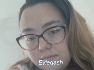 Eviedash