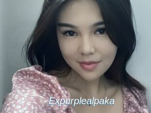 Expurplealpaka