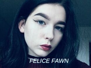 FELICE_FAWN Ejaculations Féminines