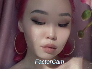 FactorCam