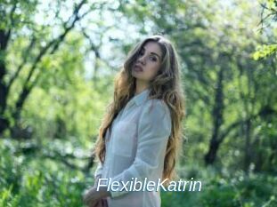 FlexibleKatrin