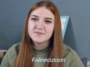 Falinecusson