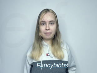 Fancybibbs
