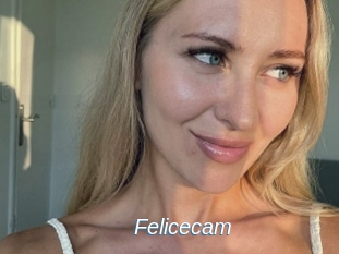 Felicecam