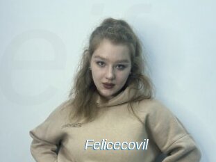 Felicecovil