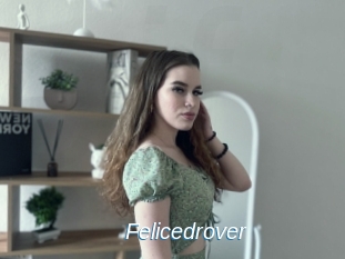 Felicedrover