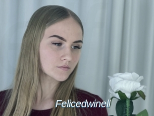 Felicedwinell
