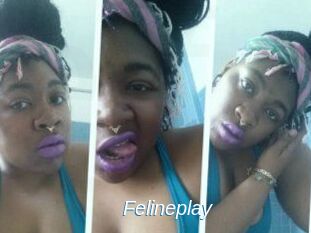 Felineplay