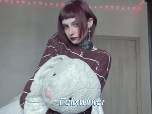 Felixwinter