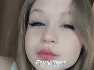 Feyabigger