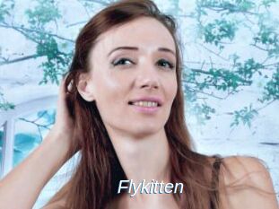 Flykitten