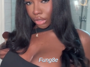Fung8e