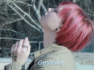 GessNice
