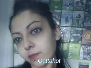 Gattahot
