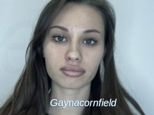 Gaynacornfield