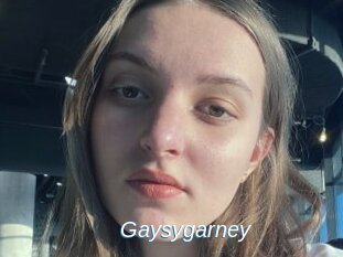 Gaysygarney