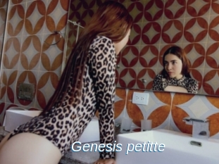 Genesis_petitte