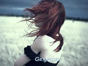 Gingercat