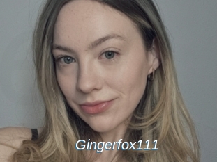 Gingerfox111